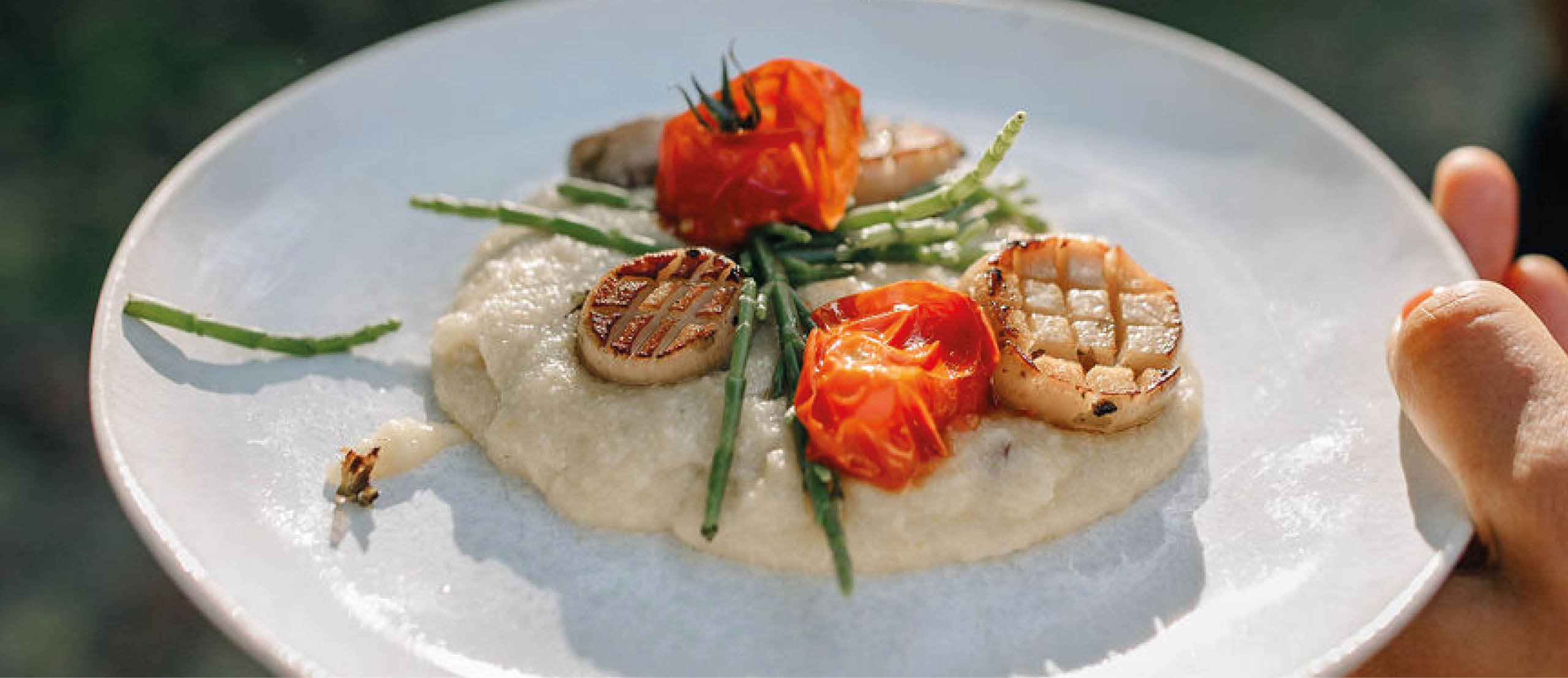 Coquilles Saint-Jacques végétaliennes